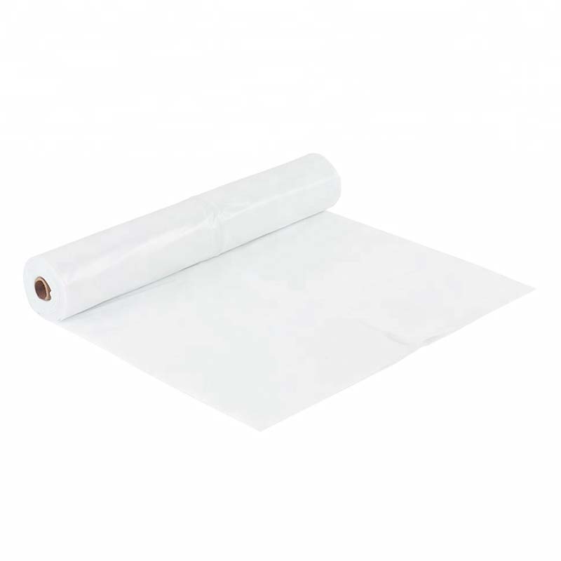 Moisture-proof Polyethylene Film Roll